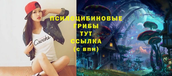 СК Киреевск