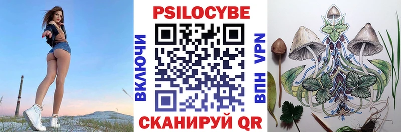 Купить закладки  Волжск  Галлюциногенные грибы GOLDEN TEACHER 